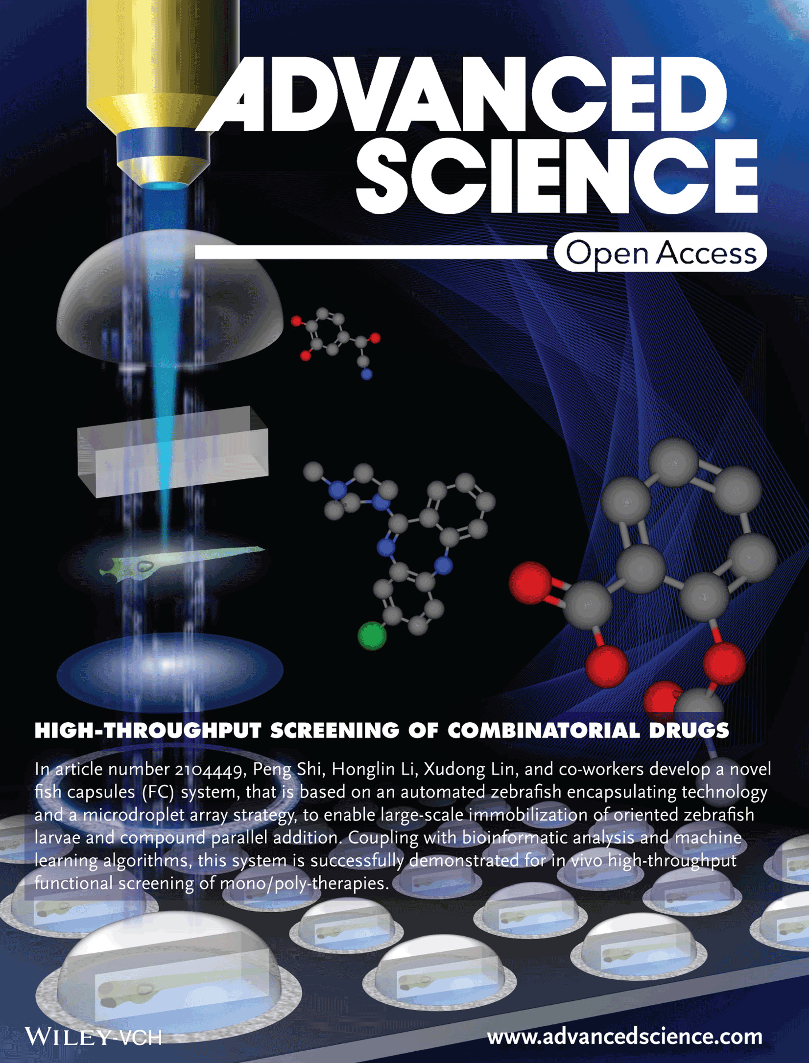 Fish Capsules: A System for High-Throughput Screening of Combinatorial Drugs