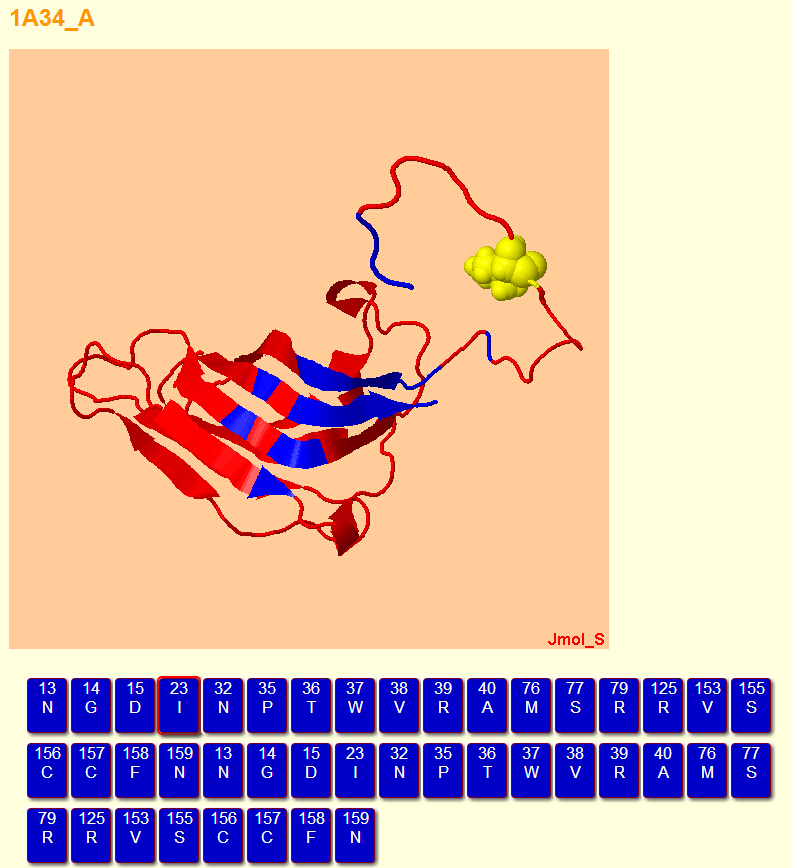result_view