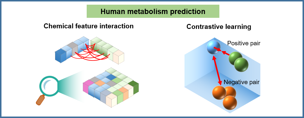 Metabolite Prediction Model