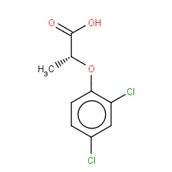 dichlorprop-P