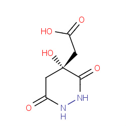 pydanon