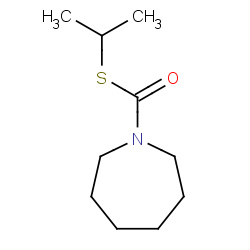 isopolinate