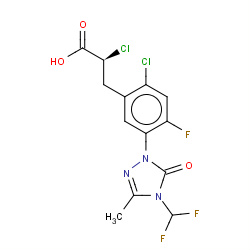 carfentrazone