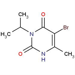 isocil