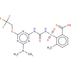 triflusulfuron