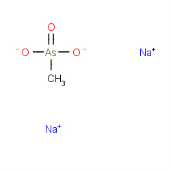 DSMA