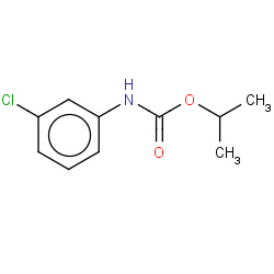 chlorpropham