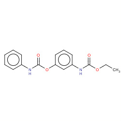 desmedipham