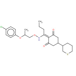 profoxydim