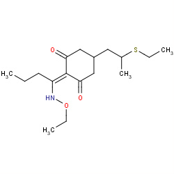 sethoxydim