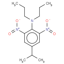 isopropalin