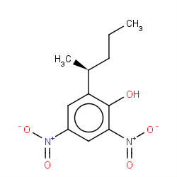 dinosam